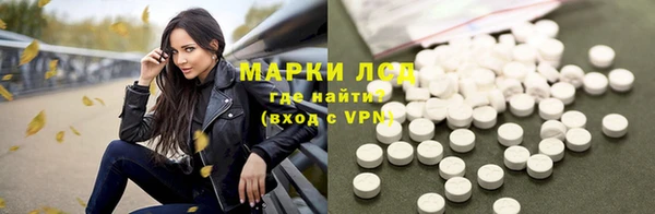 спиды Новодвинск