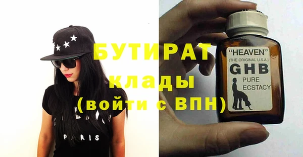 сатива Новозыбков