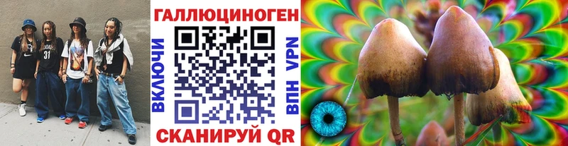 Галлюциногенные грибы GOLDEN TEACHER  Саянск 